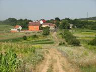 село Куштановиця Мукачівського району