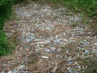 село Великі Лучки Мукачівського району