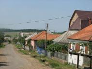 село Лецовиця Мукачівського району