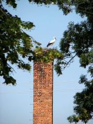 село Макарьово Мукачівського району