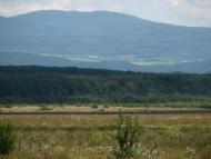 село Форнош Мукачівського району