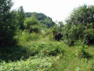 Кольчино - Шелестово - озеро на горі Тупча