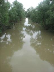 село Великі Лучки Мукачівського району