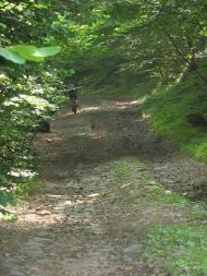 село Вільховиця Мукачівського району