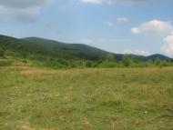 село Ільківці Мукачівського району