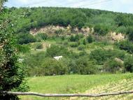 село Кленовець Мукачівського району