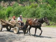 село Кленовець Мукачівського району