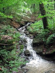 село Лохово Мукачівського району