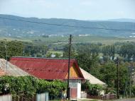 село Залужжя Мукачівського району