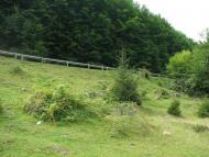 Село Брестів Мукачівського району