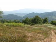 село Буковинка Мукачівський район