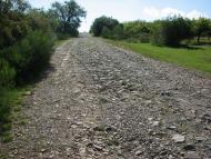 село Бабичі Мукачівського району