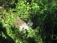 село Старе Давидково Мукачівського району