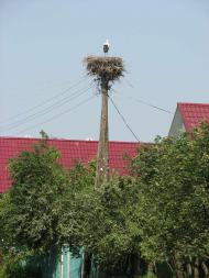 село Червеньово Мукачівського району