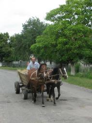 село Нижній Коропець Мукачівський район