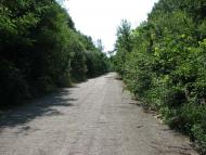 Кольчино - Шелестово - озеро на горі Тупча