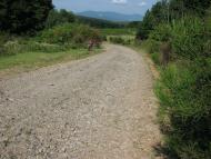 село Бабичі Мукачівського району