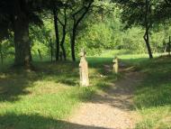 село Буковинка Мукачівський район