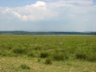 село Форнош Мукачівського району