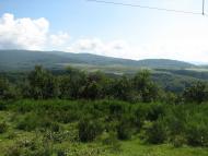 село Бабичі Мукачівського району