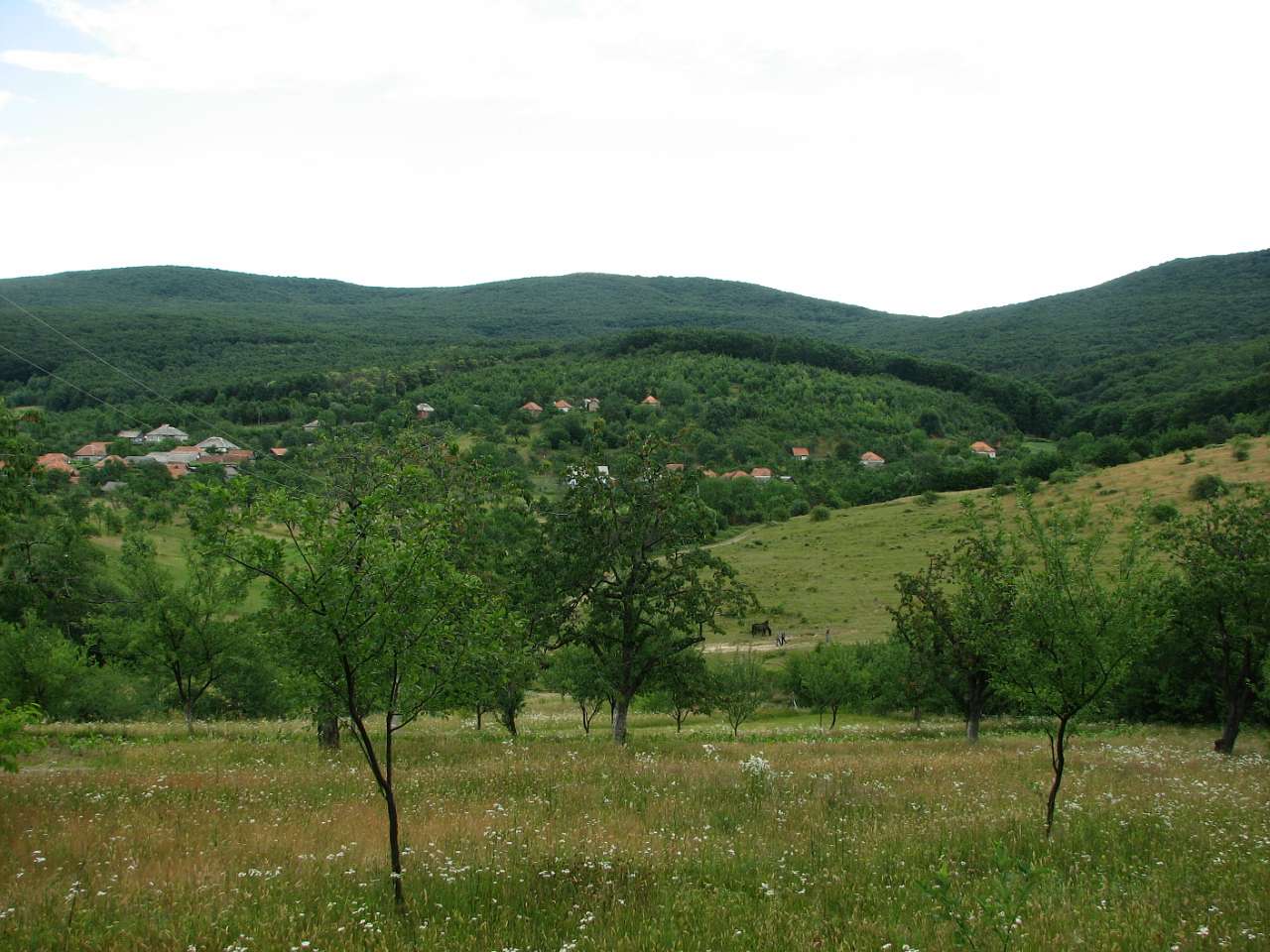 село Щасливе, Закарпатська область - Щасливе