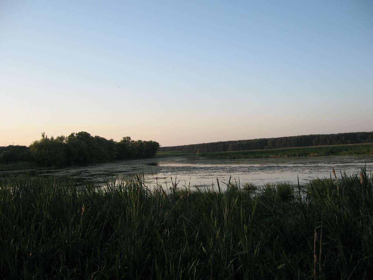 Природа села - Перемиль