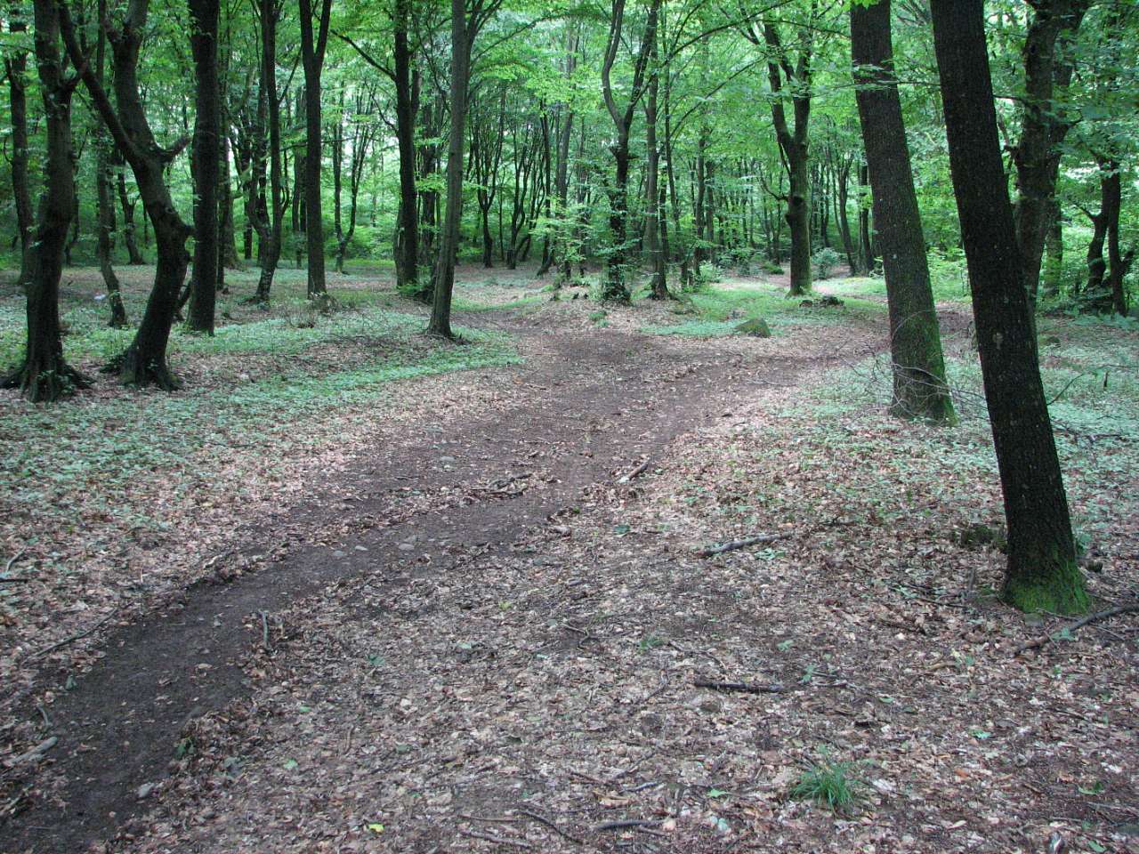 село Лохово Мукачівського району - Лохово