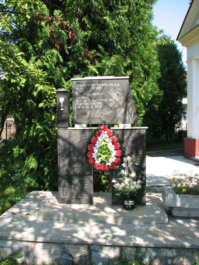 село Жнятино Мукачівського району - Жнятино