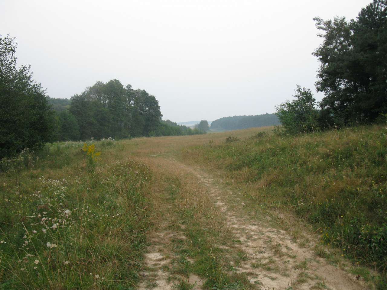 Паламаренкове. - Трибухи