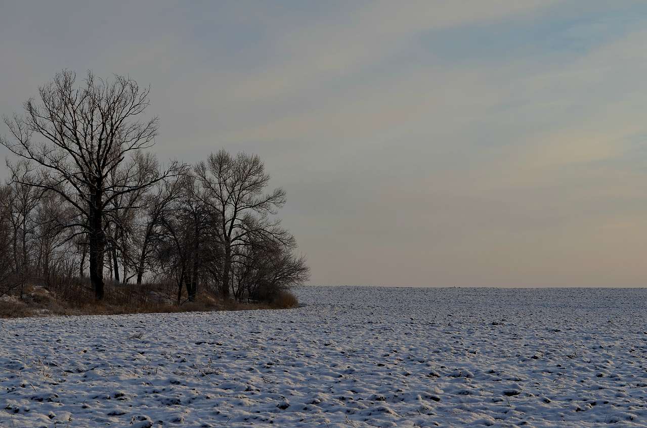 місто Звенигородка - Звенигородка