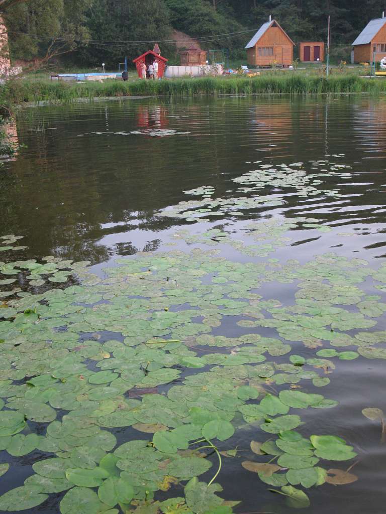 Паламаренкове. - Трибухи