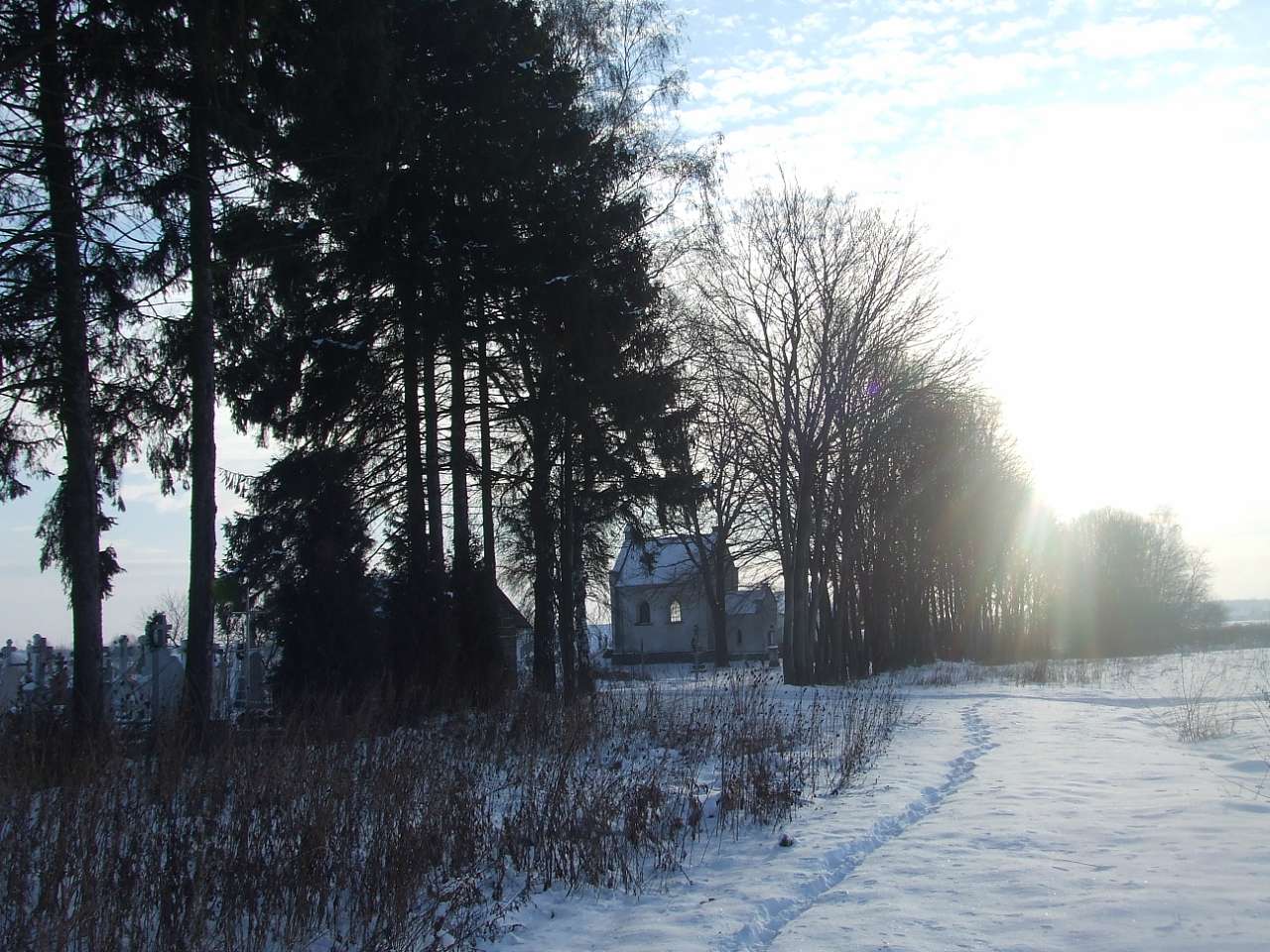 цвинтар - Derzhiv