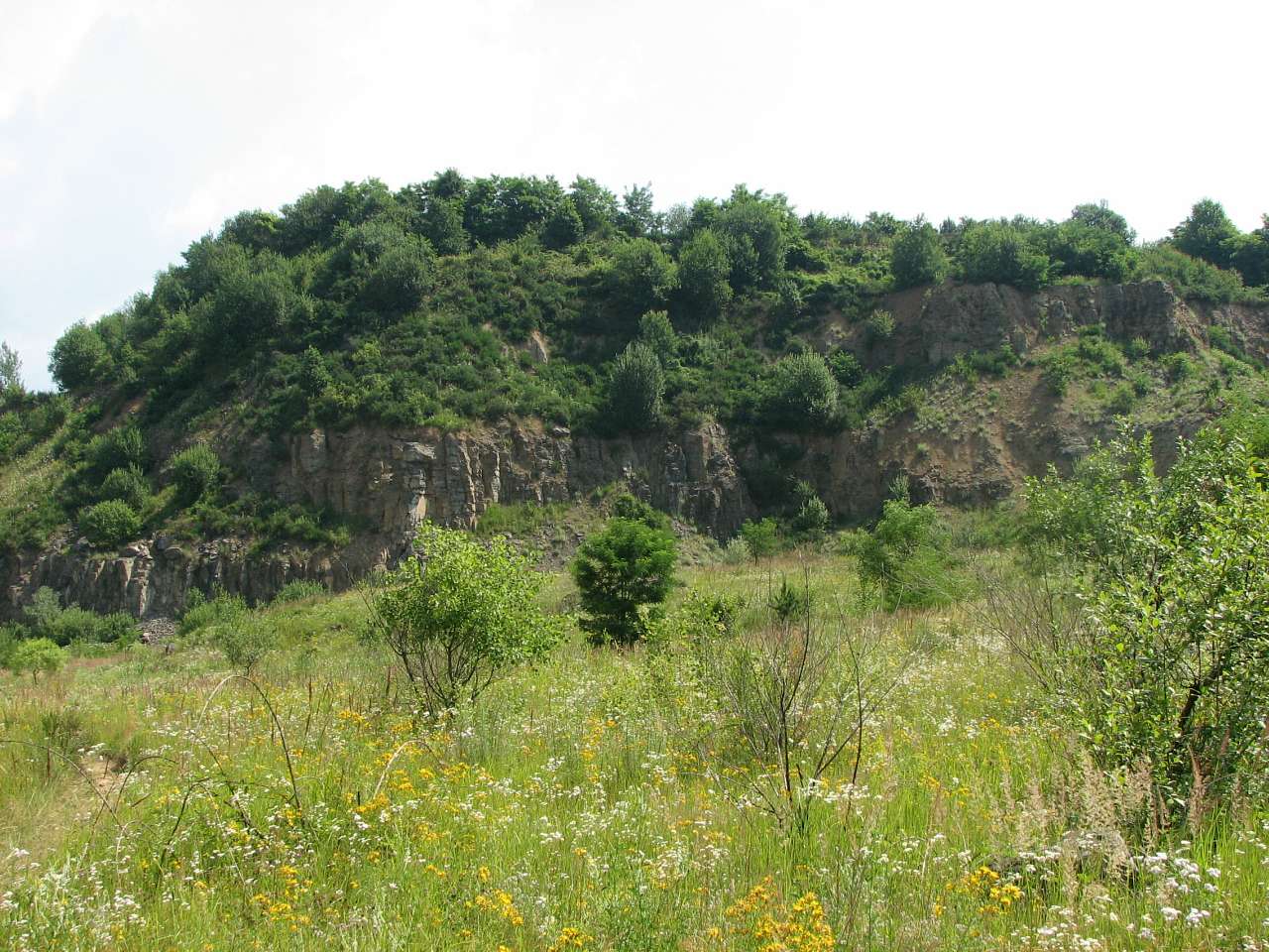 Кольчино - Шелестово - озеро на горі Тупча - Кольчино