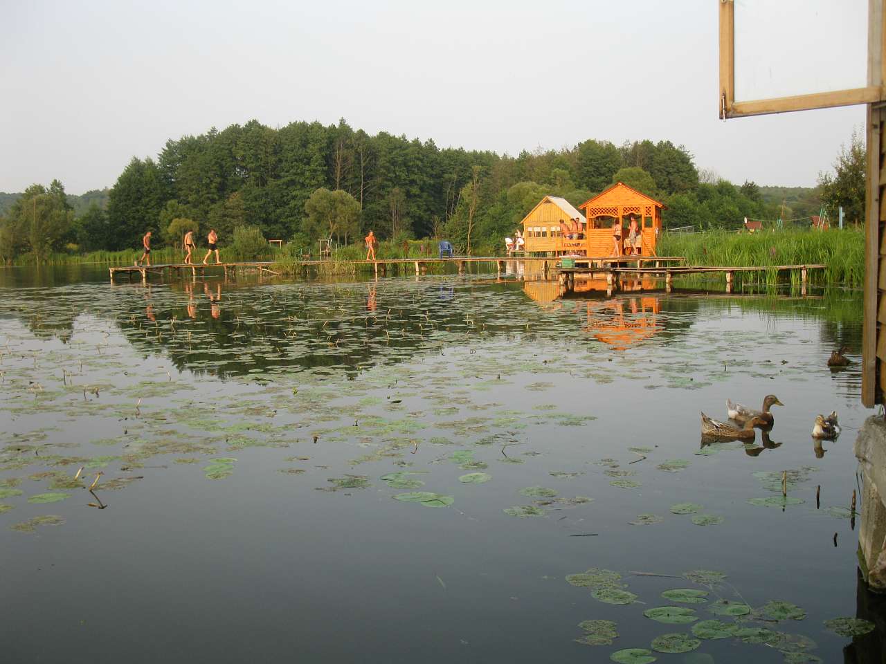 Паламаренкове. - Трибухи