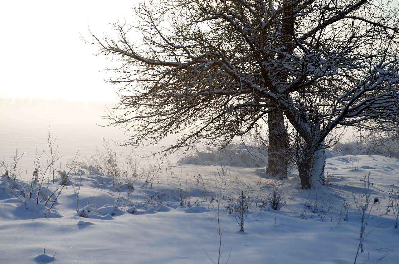 місто Звенигородка - Звенигородка