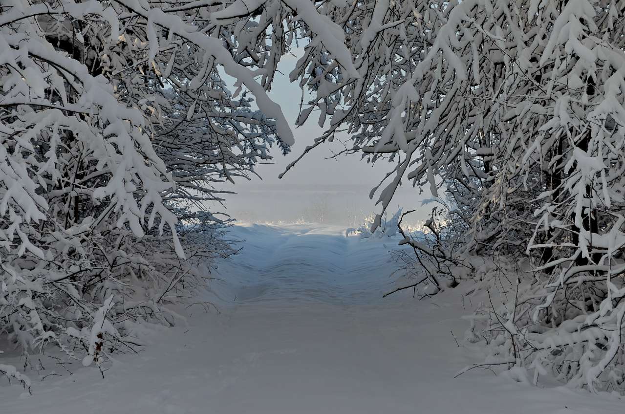 місто Звенигородка - Звенигородка