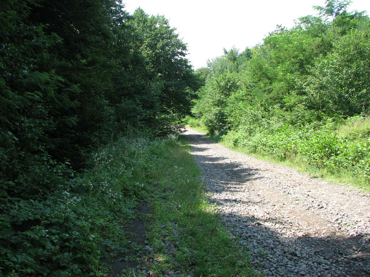 село Ільківці Мукачівського району - Ільківці