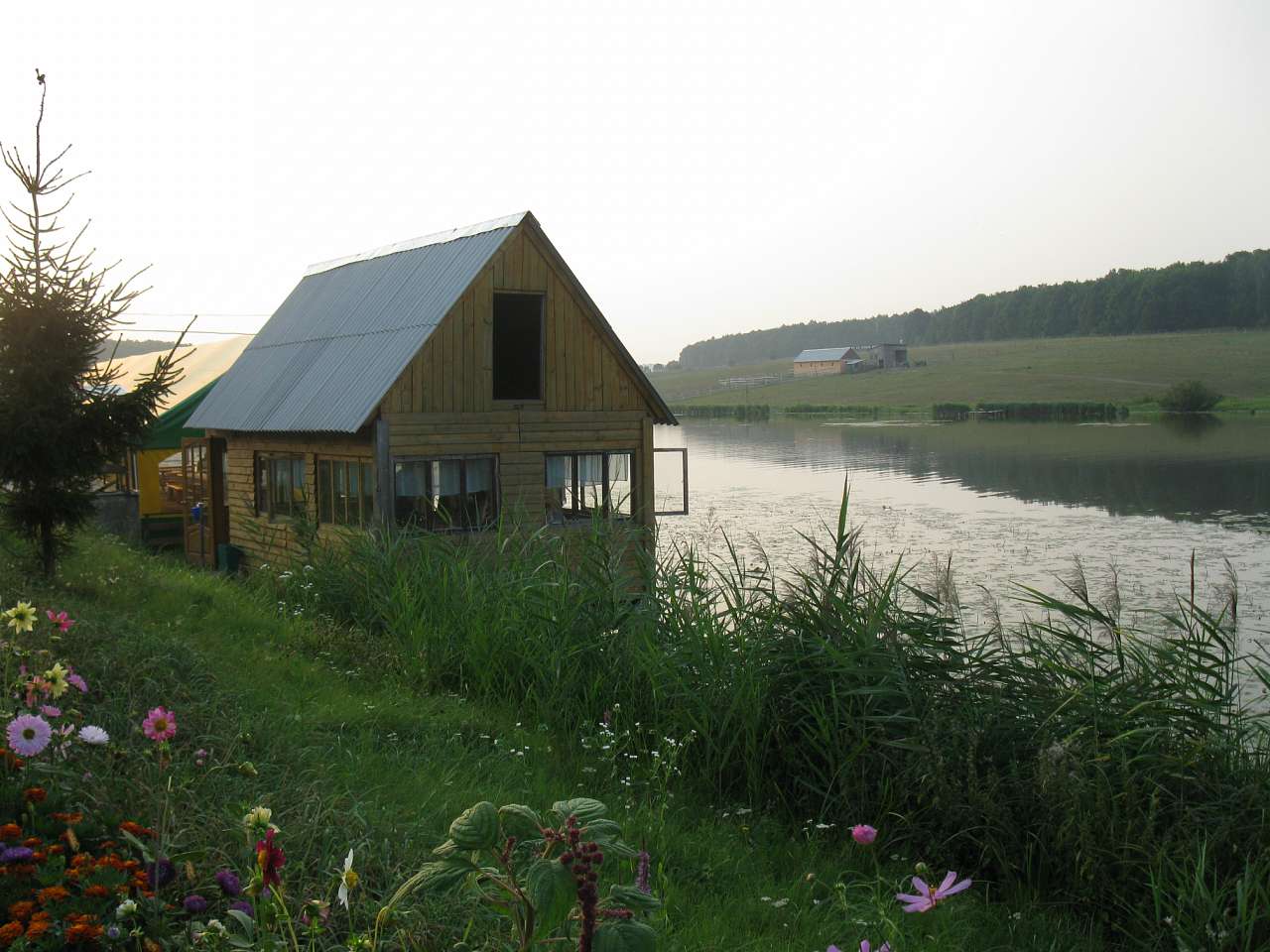 Паламаренкове. - Трибухи