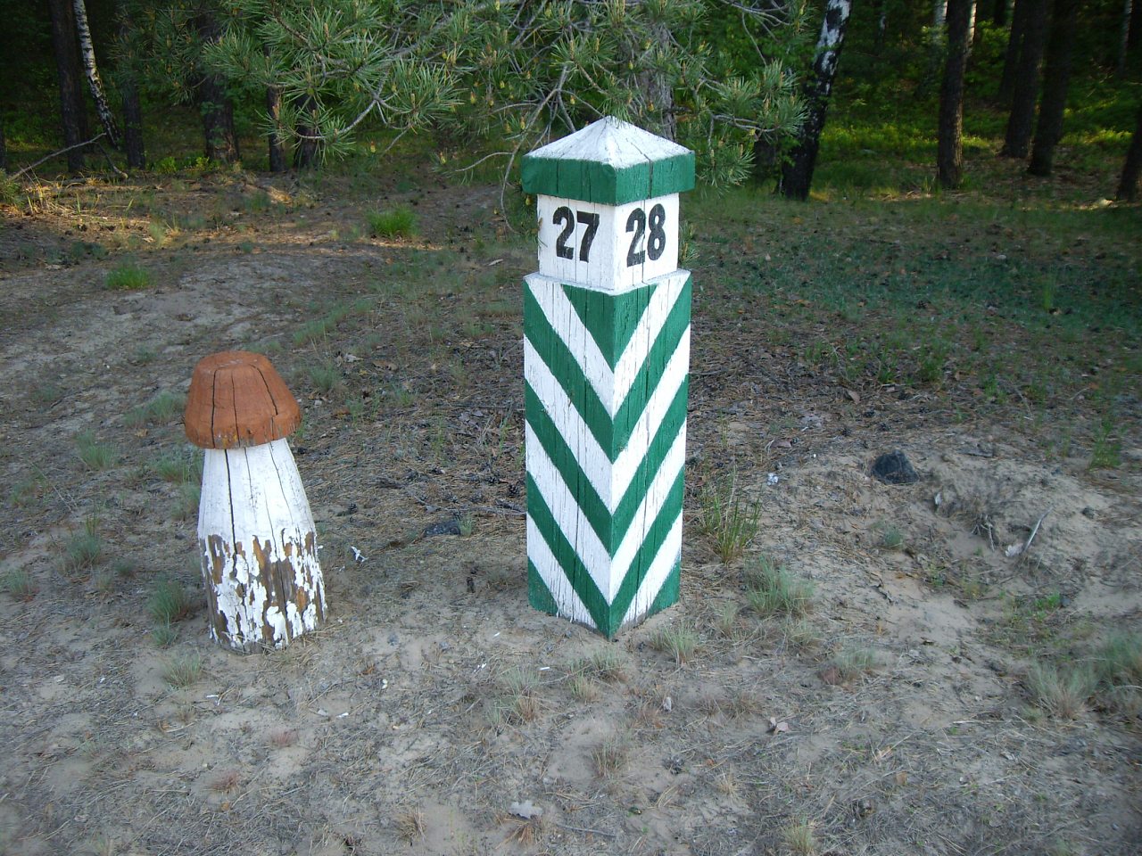 Ліс - Дубно