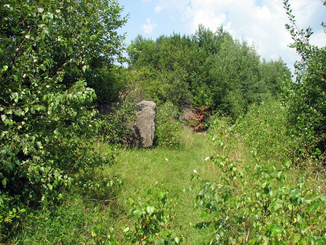 Кольчино - Шелестово - озеро на горі Тупча - Кольчино