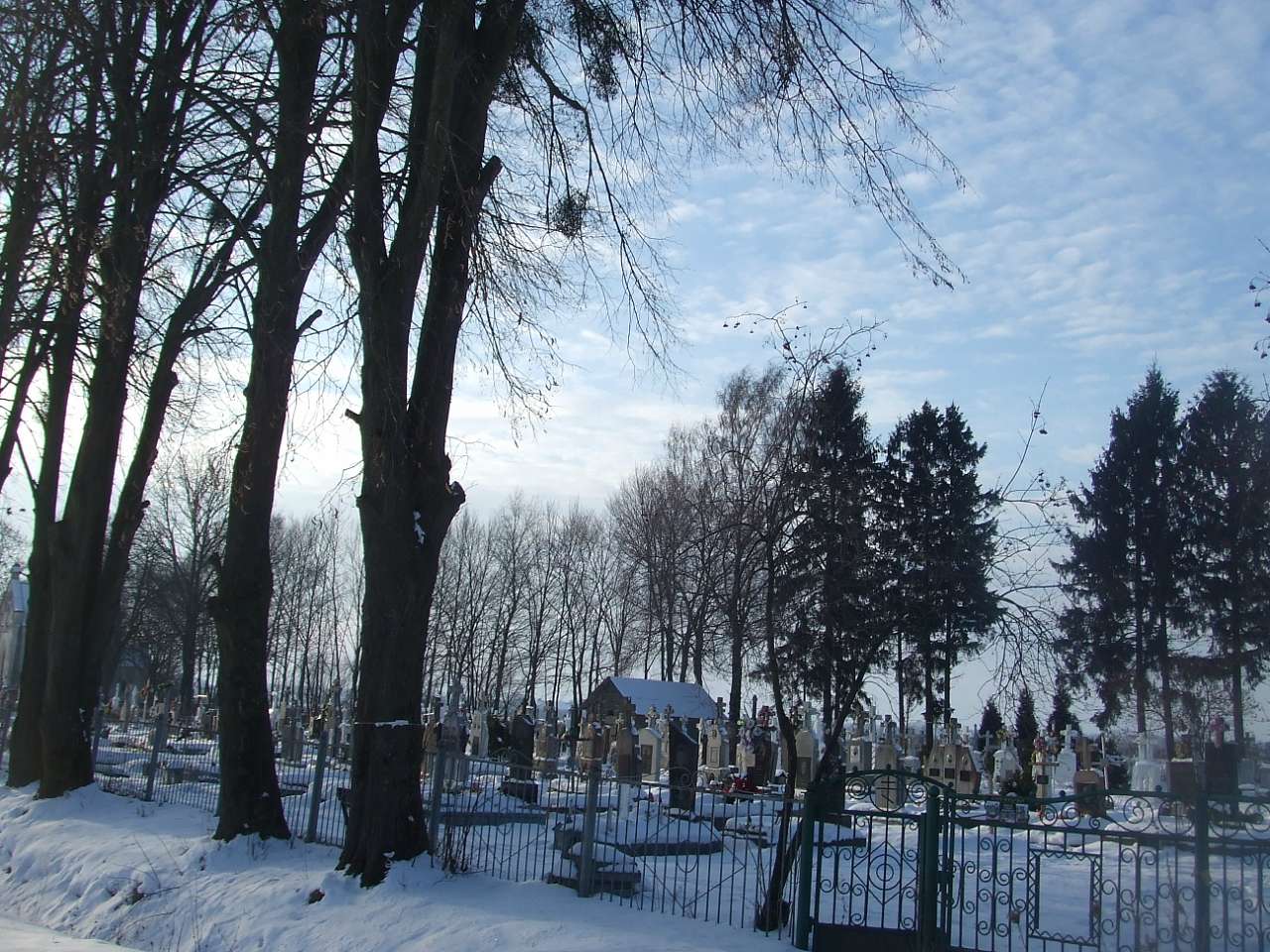 цвинтар - Derzhiv