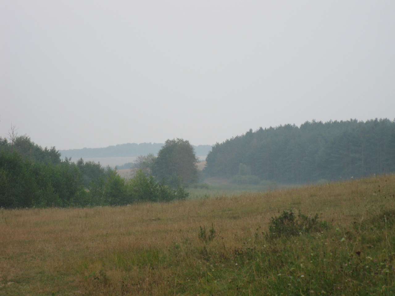 Паламаренкове. - Трибухи