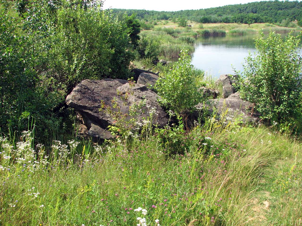 Кольчино - Шелестово - озеро на горі Тупча - Кольчино