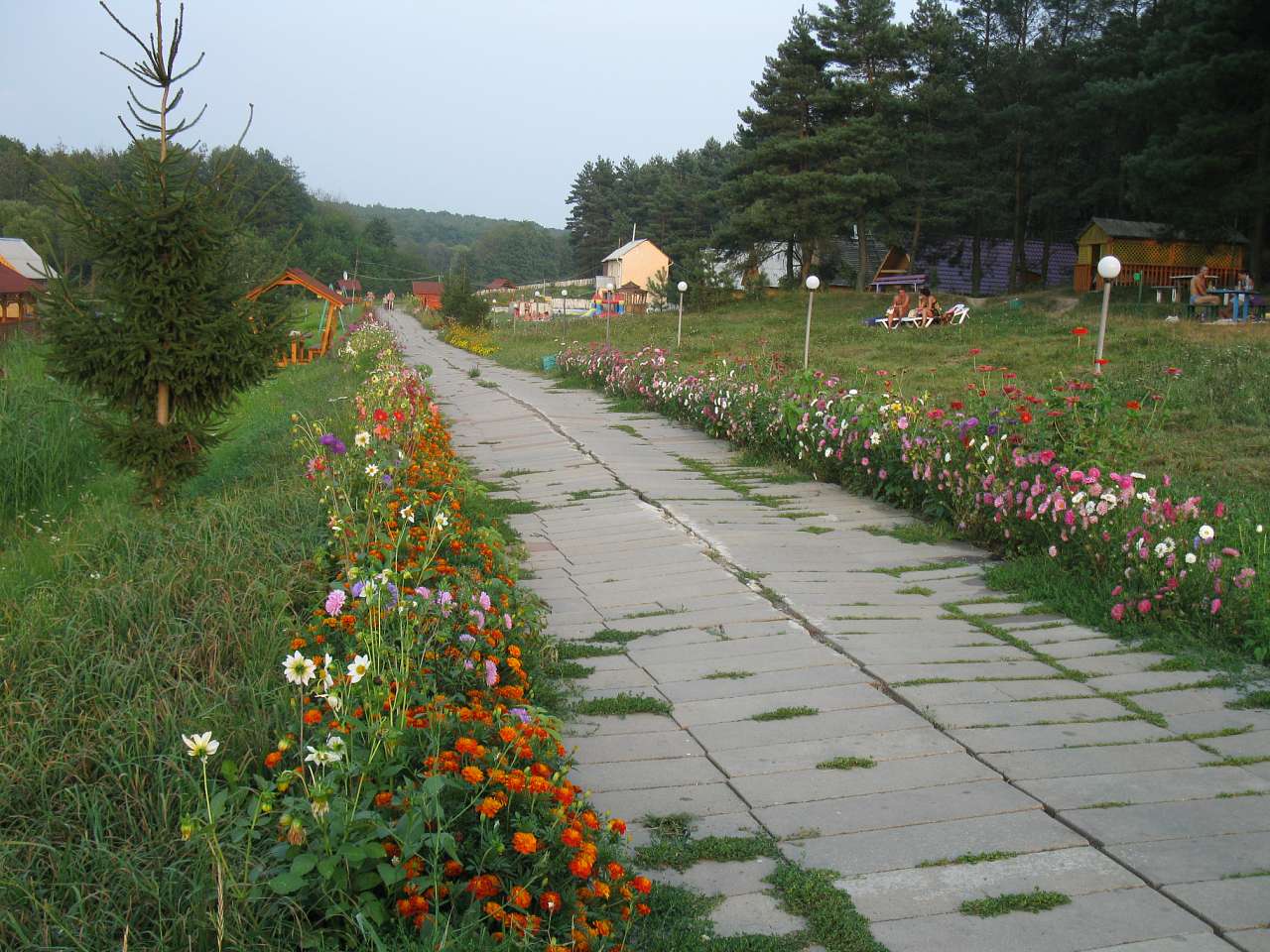 Паламаренкове. - Трибухи