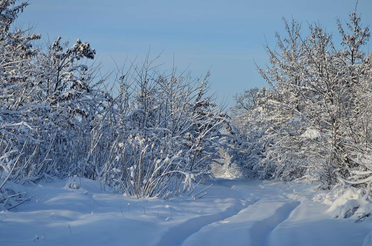 місто Звенигородка - Звенигородка