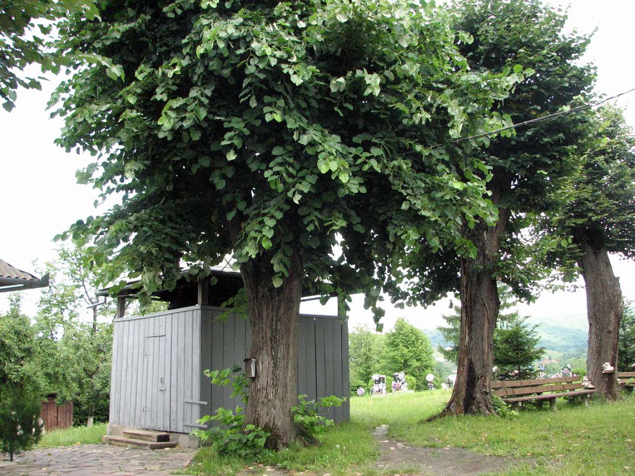 село Лохово Мукачівського району - Лохово