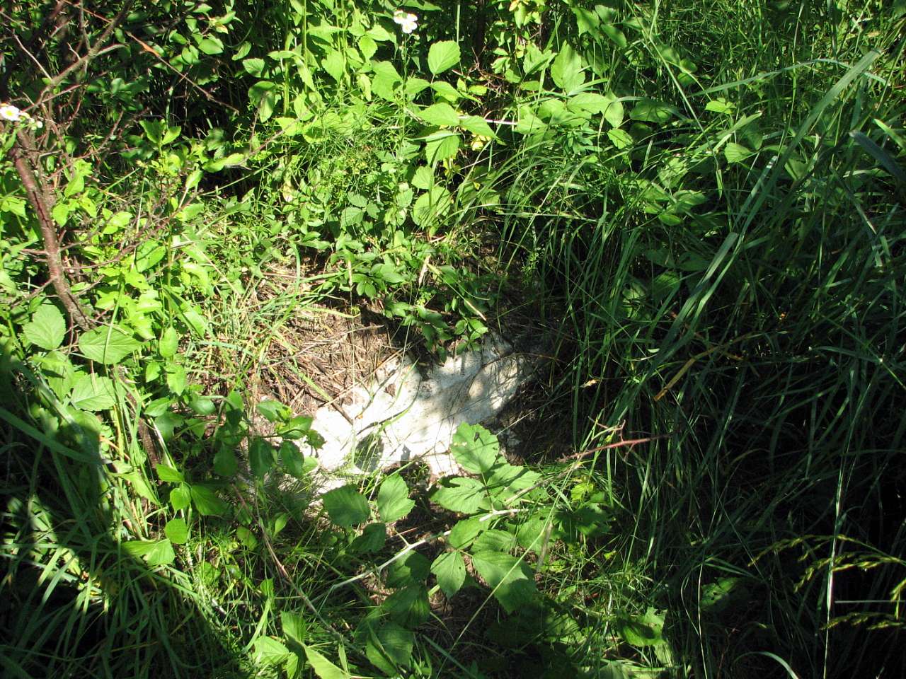 село Старе Давидково Мукачівського району - Старе Давидково