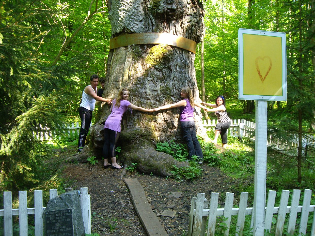 практика - Познань