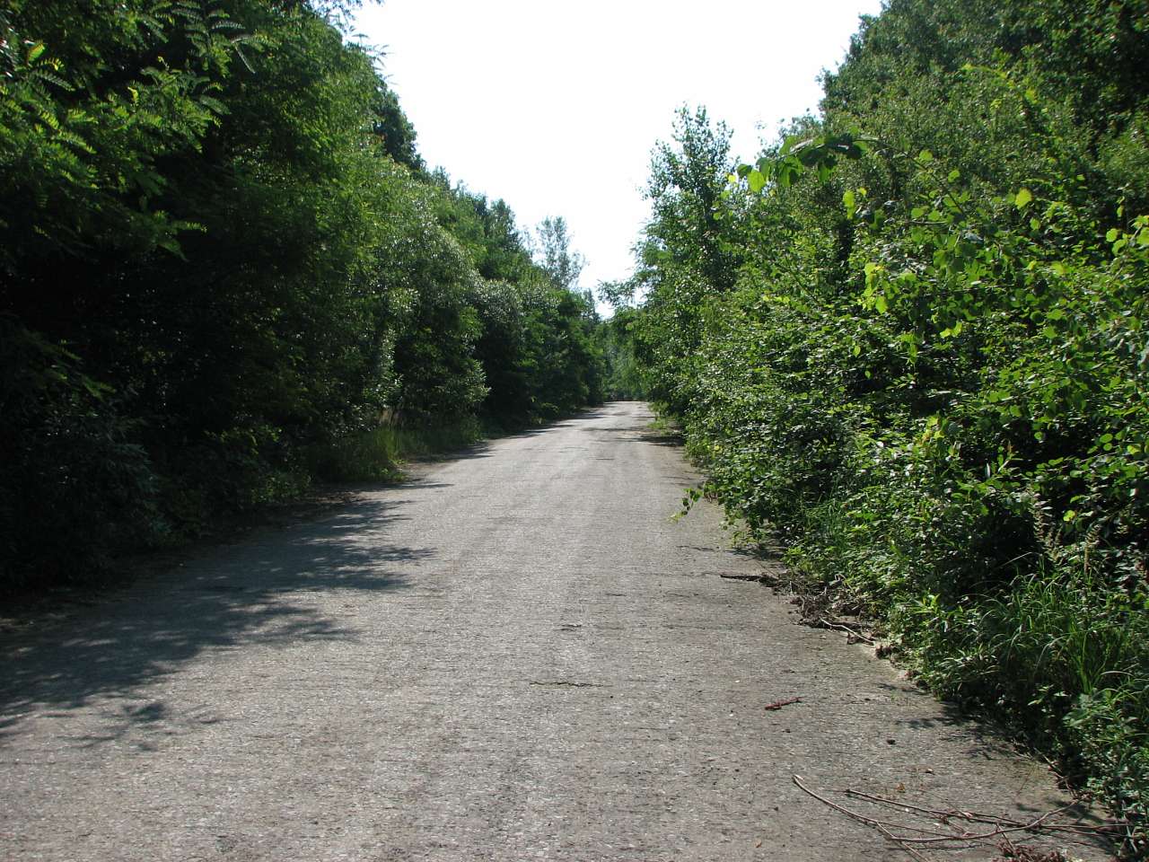 Кольчино - Шелестово - озеро на горі Тупча - Кольчино