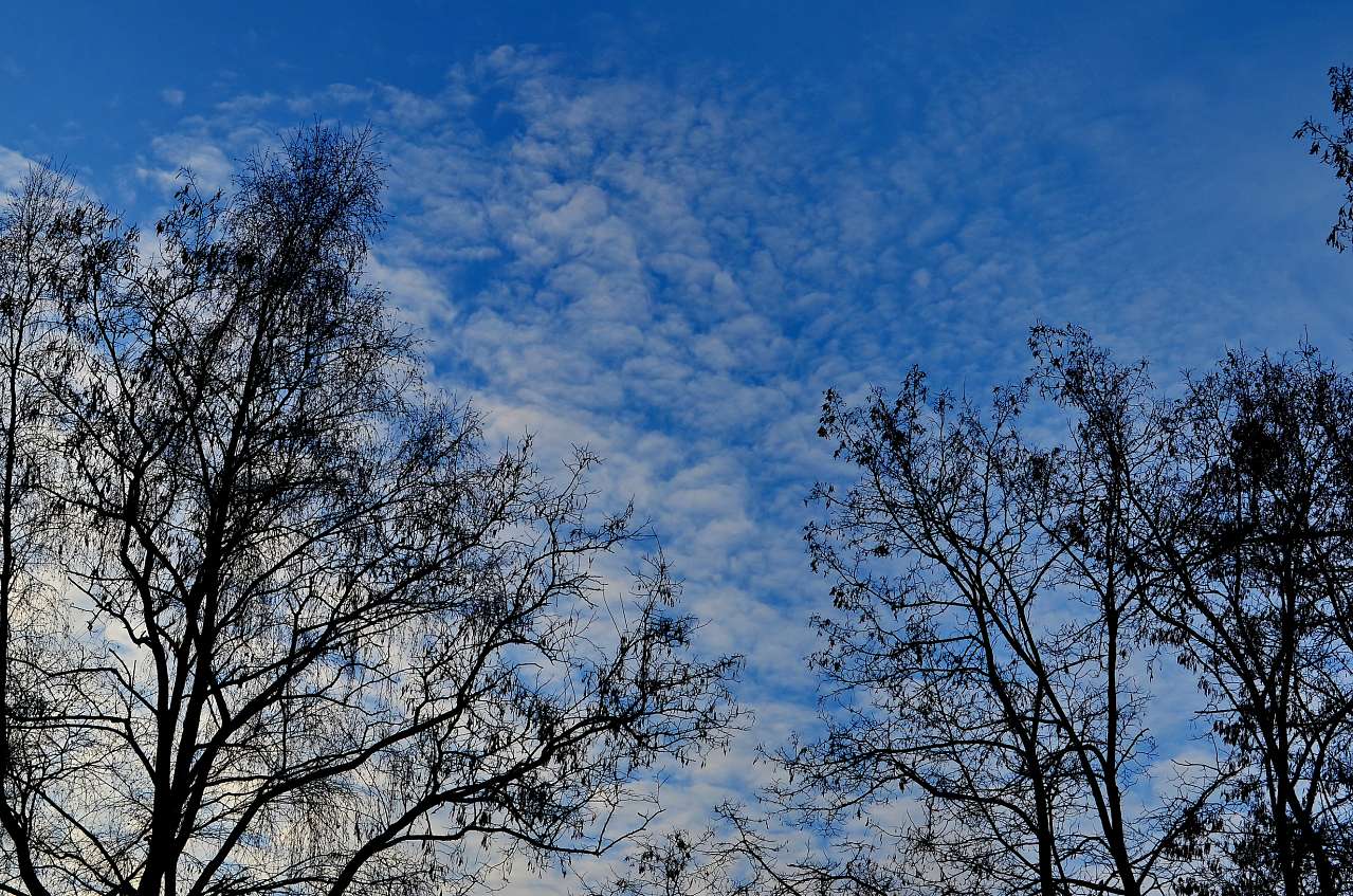 місто Звенигородка - Звенигородка